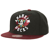 Load image into Gallery viewer, Mitchell &amp; Ness Circle Splash Snapback Vintage Ducks
