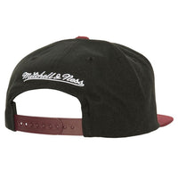 Load image into Gallery viewer, Mitchell &amp; Ness Circle Splash Snapback Vintage Ducks
