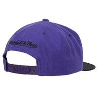 Load image into Gallery viewer, Mitchell &amp; Ness Team 2 Tone 2.0 Snapback Sacramento Kings
