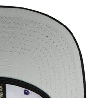 Load image into Gallery viewer, Mitchell &amp; Ness Team 2 Tone 2.0 Snapback Sacramento Kings
