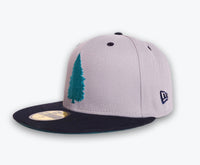 Load image into Gallery viewer, Redwood Sole X New Era 59FIFTY 001 “Space Needle” Fitted
