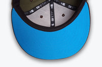 Load image into Gallery viewer, Redwood Sole X New Era 59FIFTY New York Yankees “Brush” Fitted
