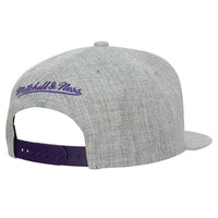 Load image into Gallery viewer, Mitchell &amp; Ness Team Heather 2.0 Snapback Los Angeles Lakers
