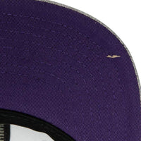 Load image into Gallery viewer, Mitchell &amp; Ness Team Heather 2.0 Snapback Los Angeles Lakers
