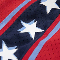 Load image into Gallery viewer, Mitchell &amp; Ness Swingman Shorts Team USA 1996
