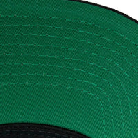 Load image into Gallery viewer, Mitchell &amp; Ness Team 2 Tone 2.0 Snapback HWC Vancouver Grizzlies
