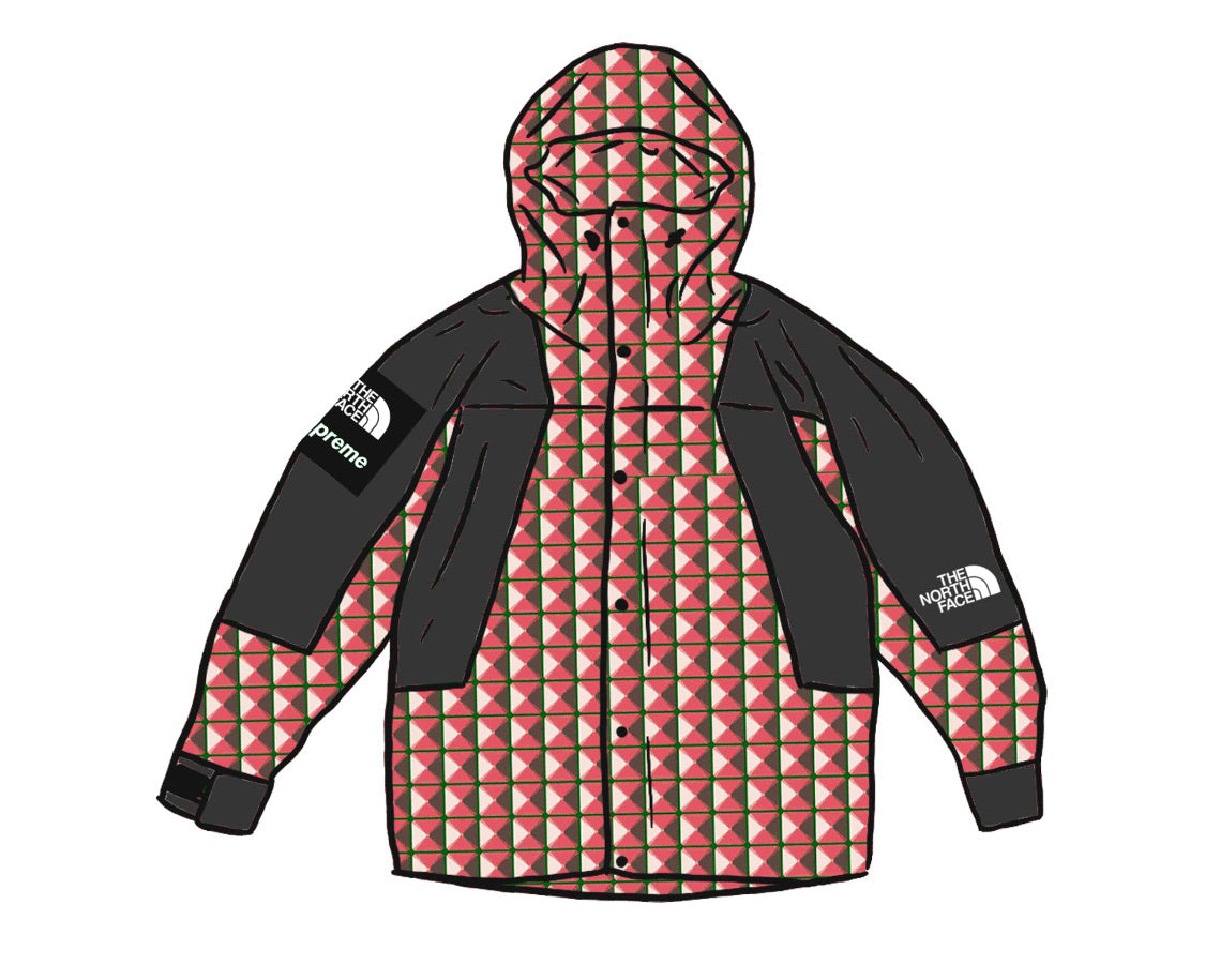 North face store supreme mountain jacket